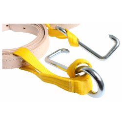 TRAGGURTE LEDER, PROFESSIONAL MIT HAKEN