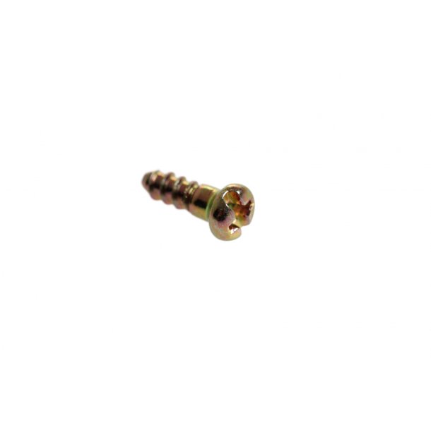 HAMMER BUTT PLATE SCREWS