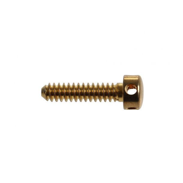 BRASS CAPSTAN SCREWS 25 MM