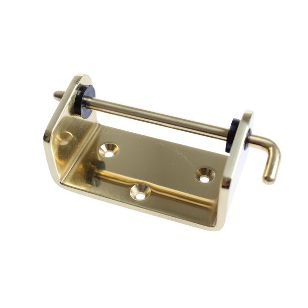 DKSELSTTTEHNGSEL LIGE