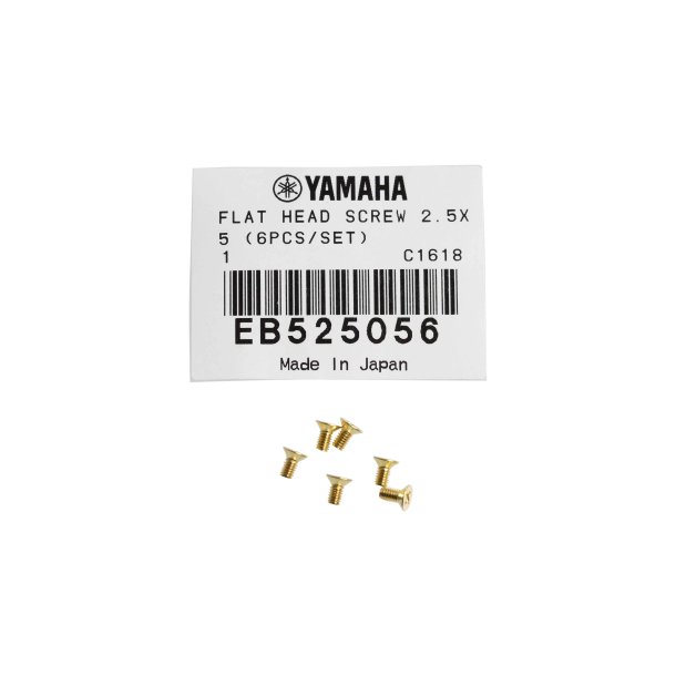 YAMAHA ORIGINAL PART NO. EB525056, FLAT HEAD SCREW 2,5X5 MM. - 6 PACK